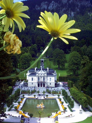 Blick durch Blumen auf das Wasserparterre